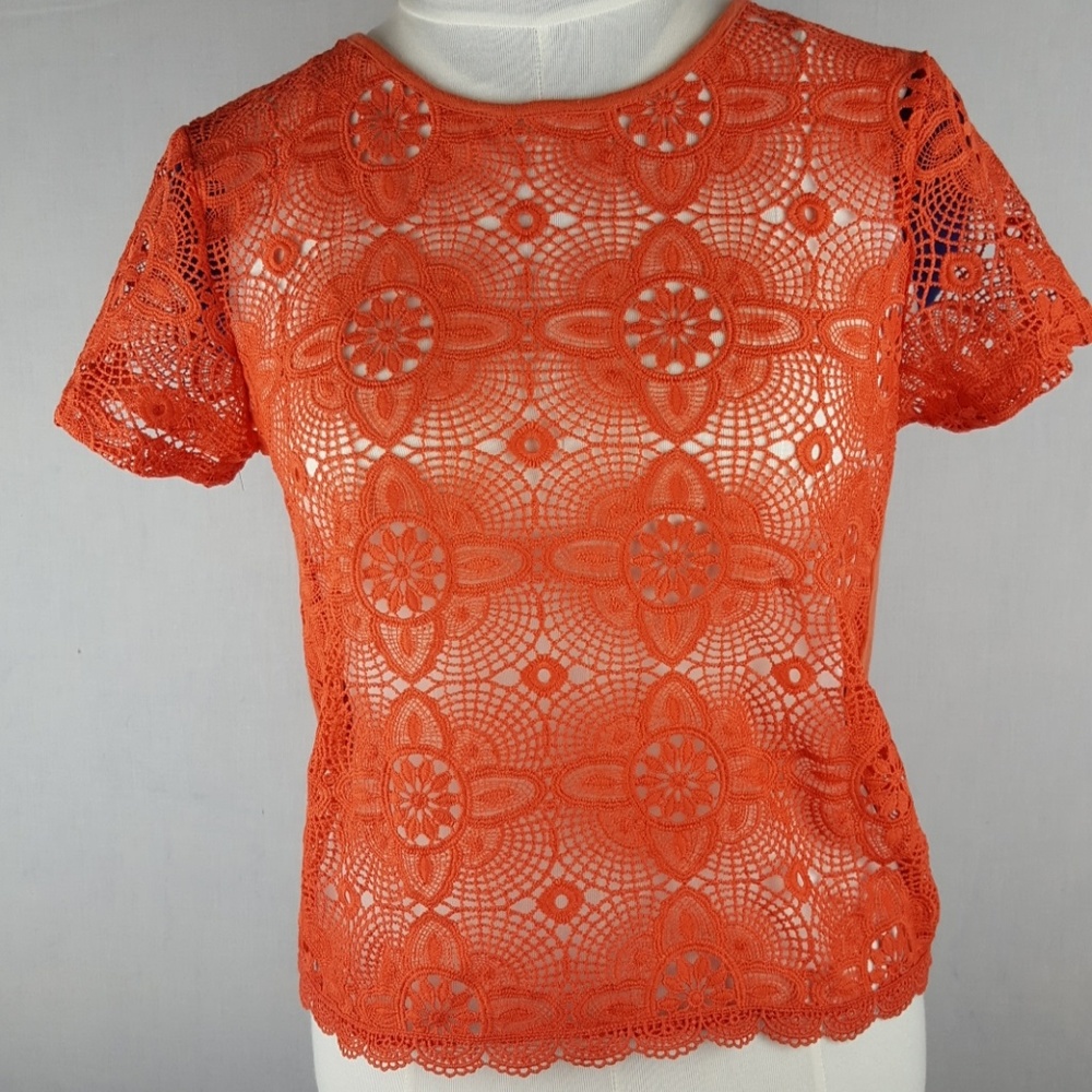 Orange Sheer Lace Knit Top